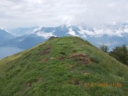 41 sulla cresta in cima al Muggio